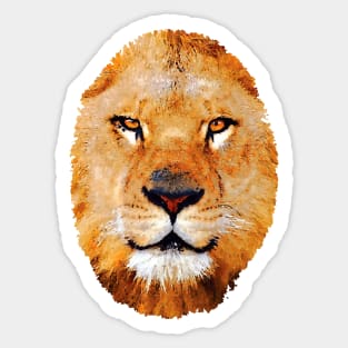 lion Sticker